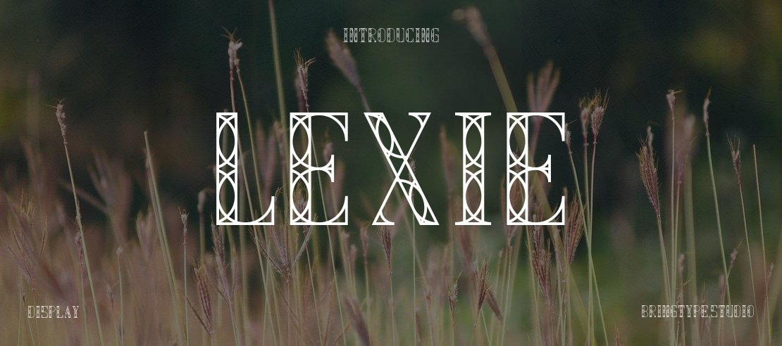 Lexie Font