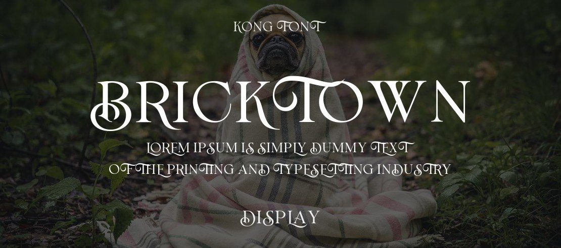 Bricktown Font Family