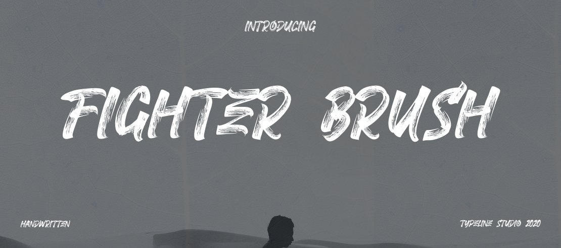 FIGHTER BRUSH Font