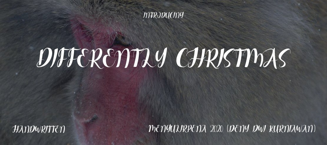 Differently Christmas Font