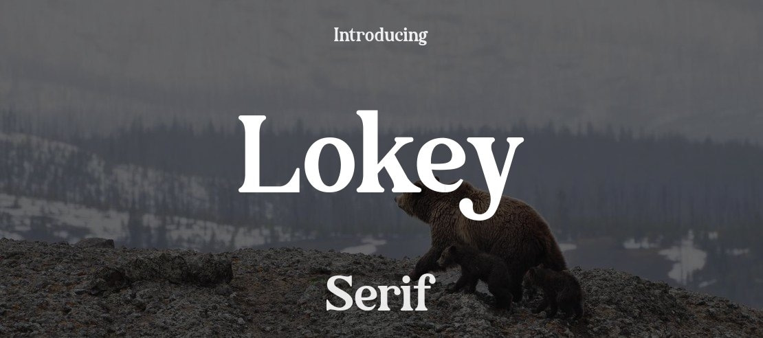 Lokey Font Family