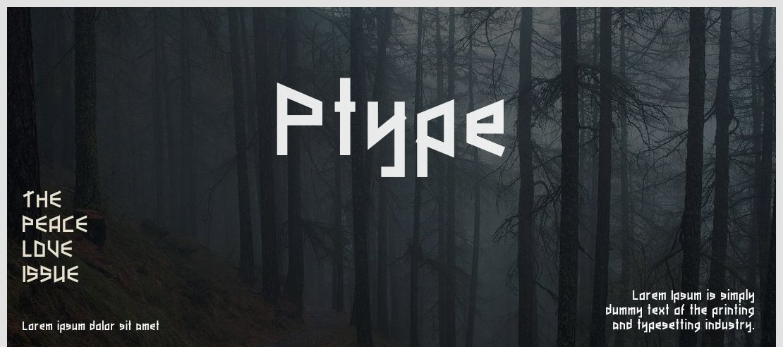 Ptype Font