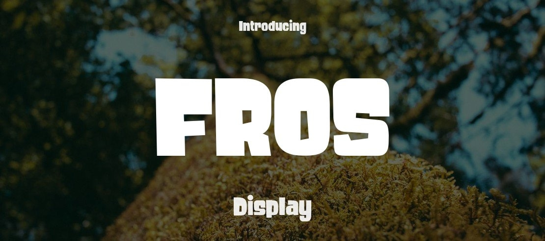 FROS Font Family
