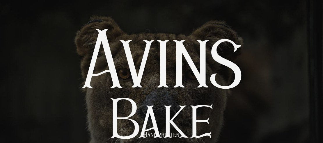 Avins Bake Font