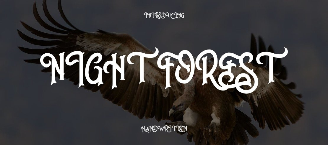 Night Forest Font