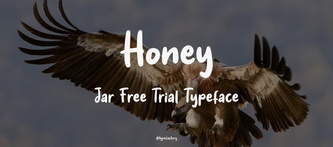 Honey Jar Free Trial Font