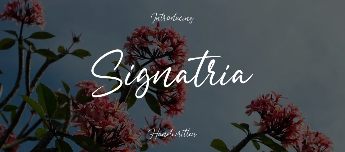 Signatria Font