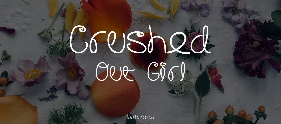Crushed Out Girl Font Family