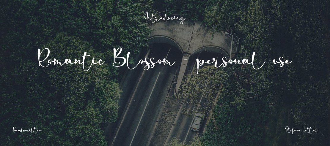 Romantic Blossom - personal use Font