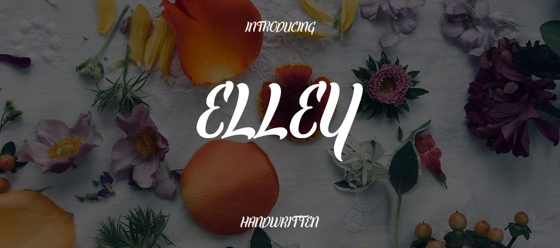 Elley Font