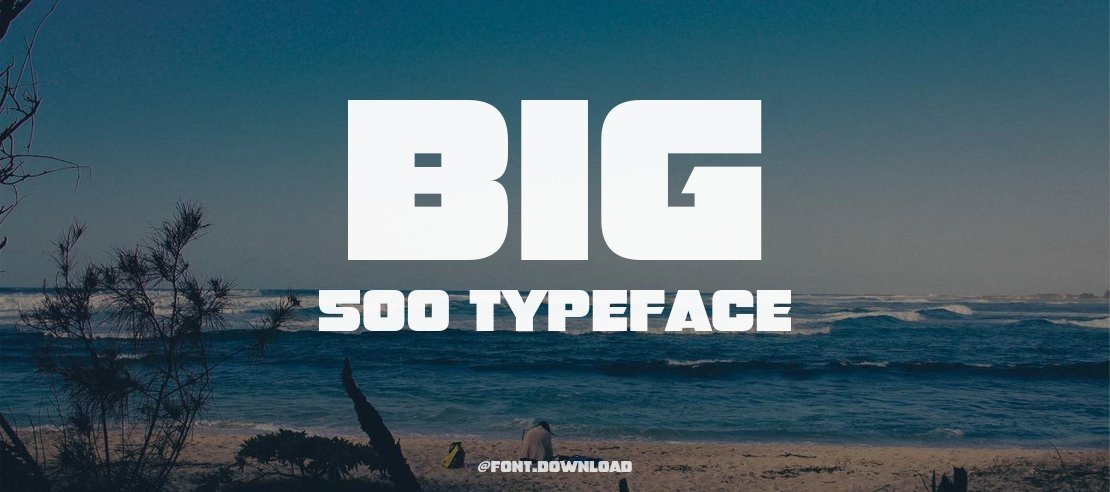 Big 500 Font Family