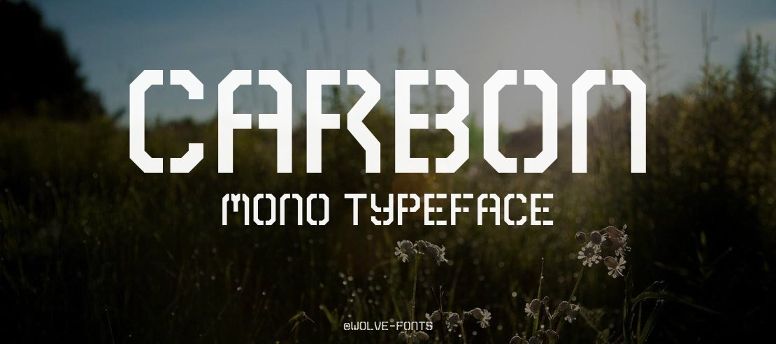 Carbon Mono Font Family