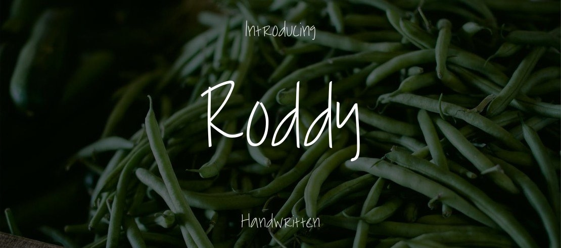 Roddy Font Family