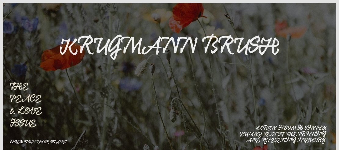 Krugmann Brush Font