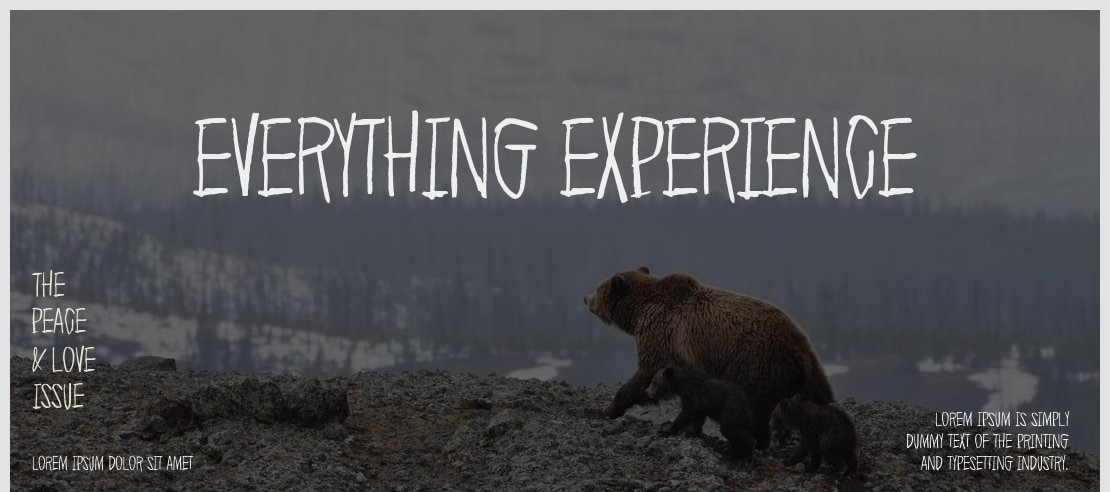 Everything experience Font
