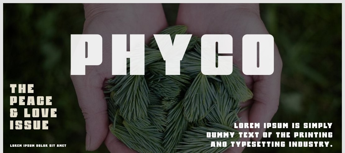 Phyco Font