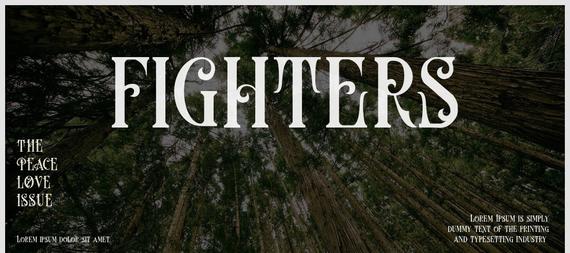 fighters Font