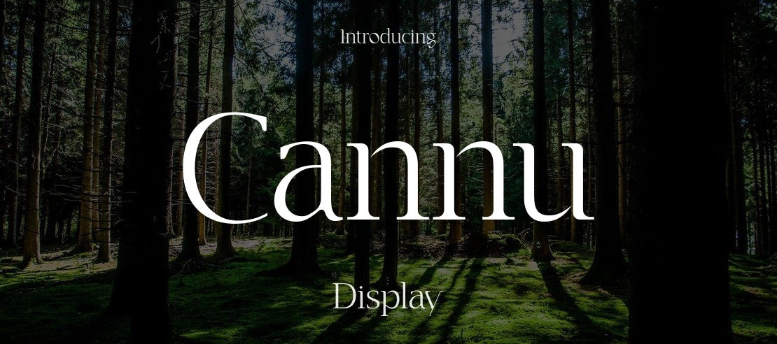 Cannu Font