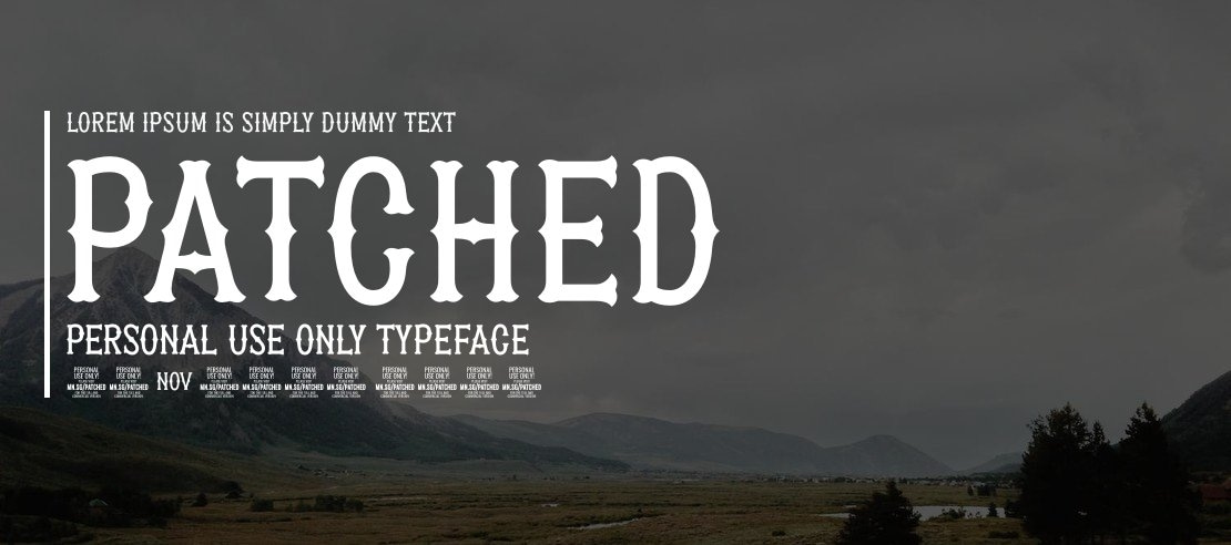 Patched PERSONAL USE ONLY Font Family