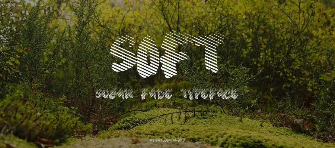 Soft Sugar fade Font Family