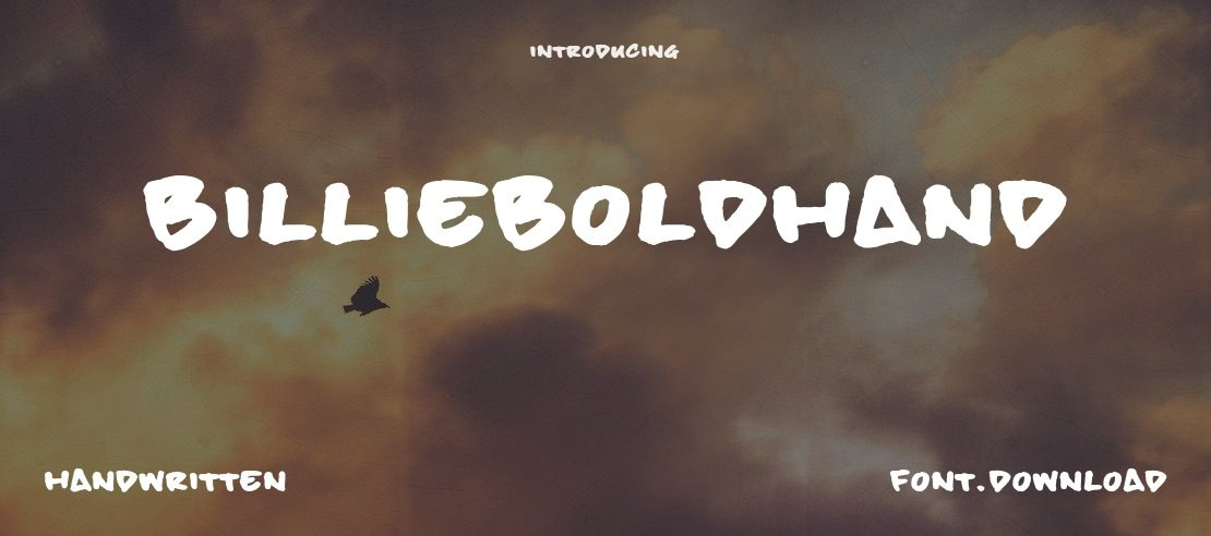 billieBoldHand Font