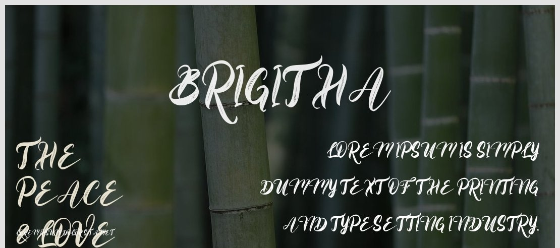 Brigitha Font