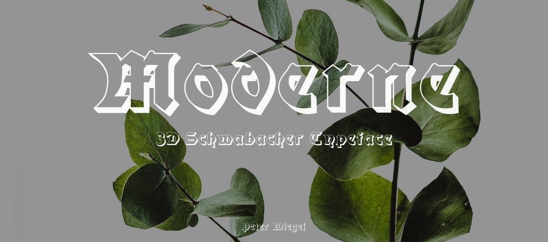 Moderne 3D Schwabacher Font Family