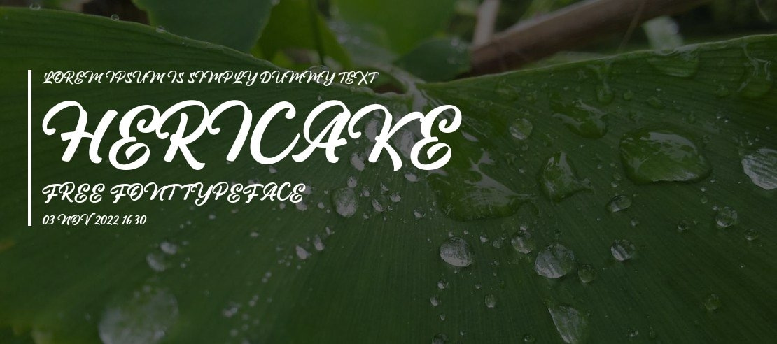 Hericake Free Font