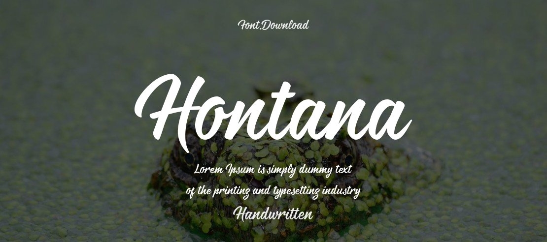Hontana Font