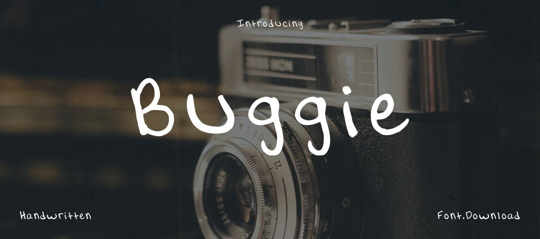 Buggie Font