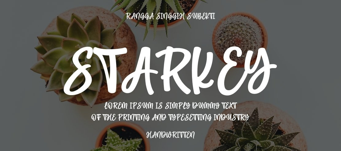 Starkey Font