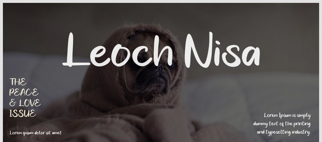 Leoch Nisa Font