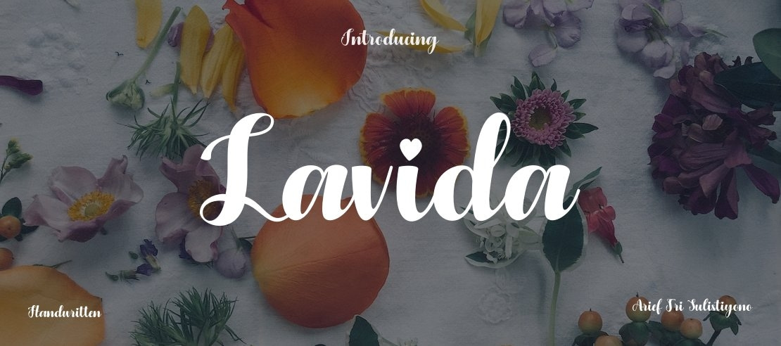 Lavida Font