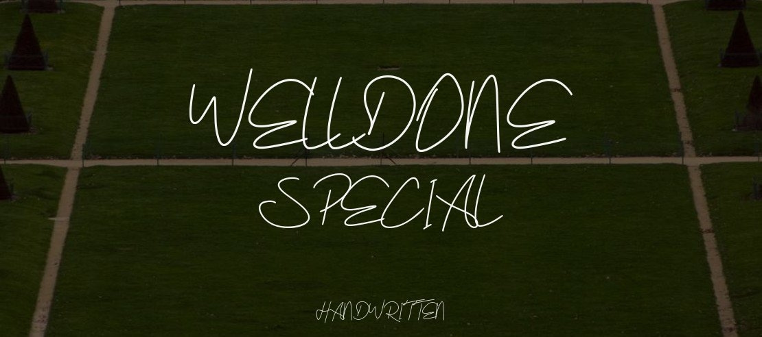 Welldone Special Font Family