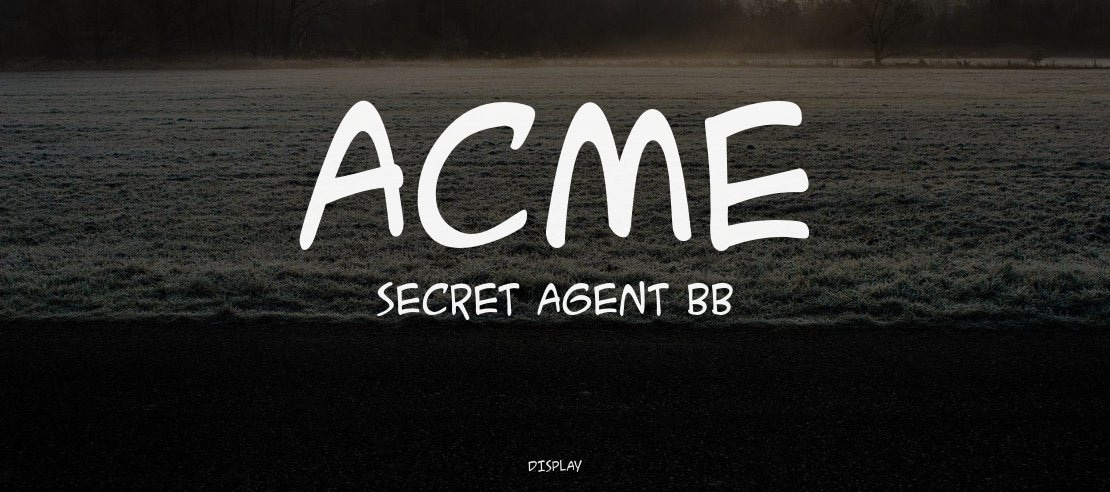 ACME Secret Agent BB Font Family