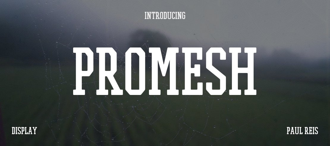 PROMESH Font Family