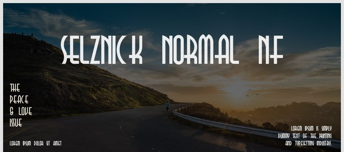 Selznick Normal NF Font Family