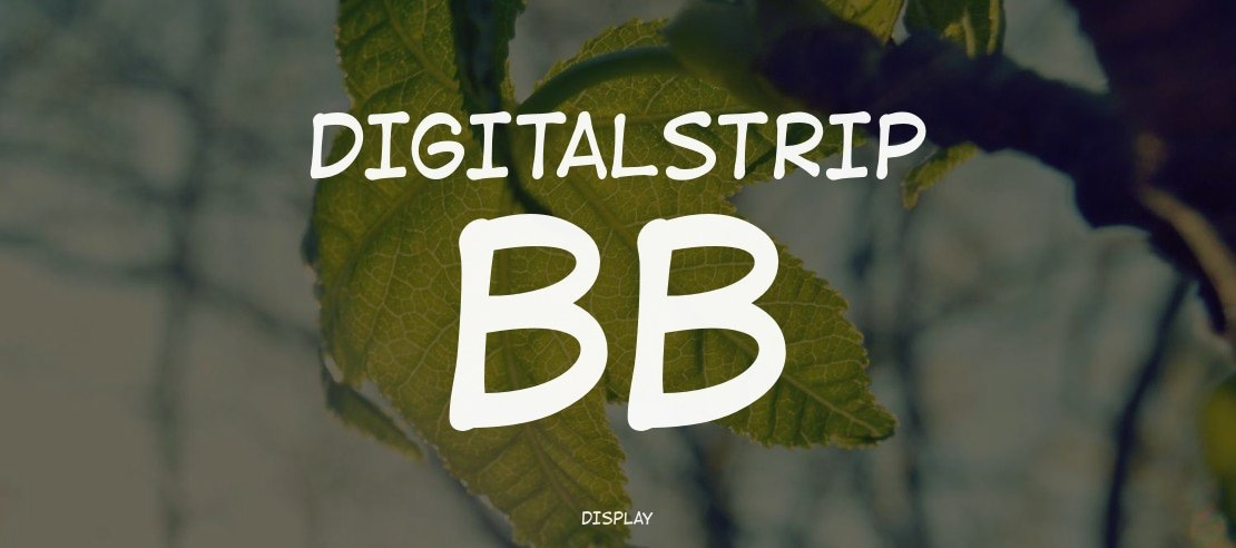 DigitalStrip BB Font Family