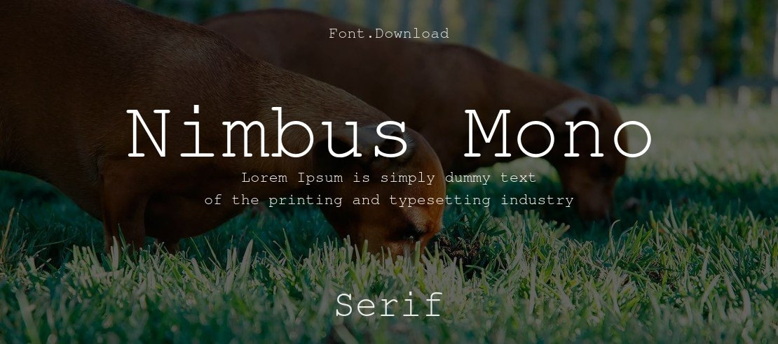 Nimbus Mono Font Family