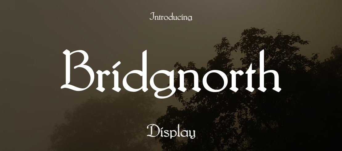 Bridgnorth Font Family