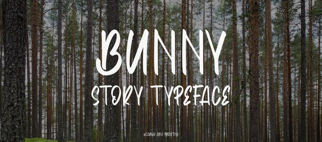 Bunny Story Font