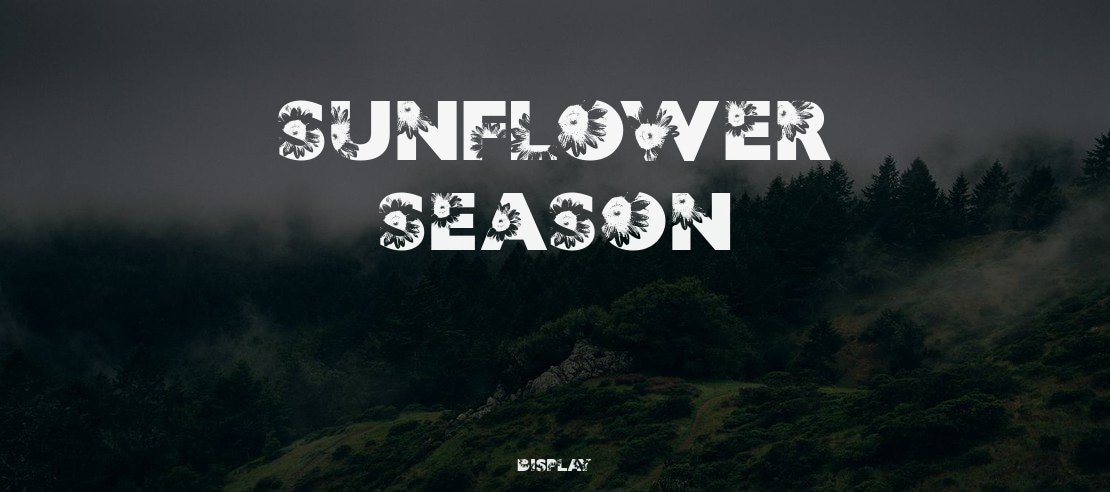 SUNFLOWER SEASON Font