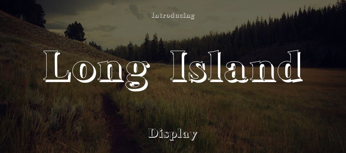 Long Island Font Family