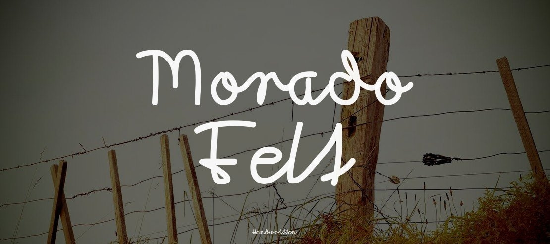 Morado Felt Font Family
