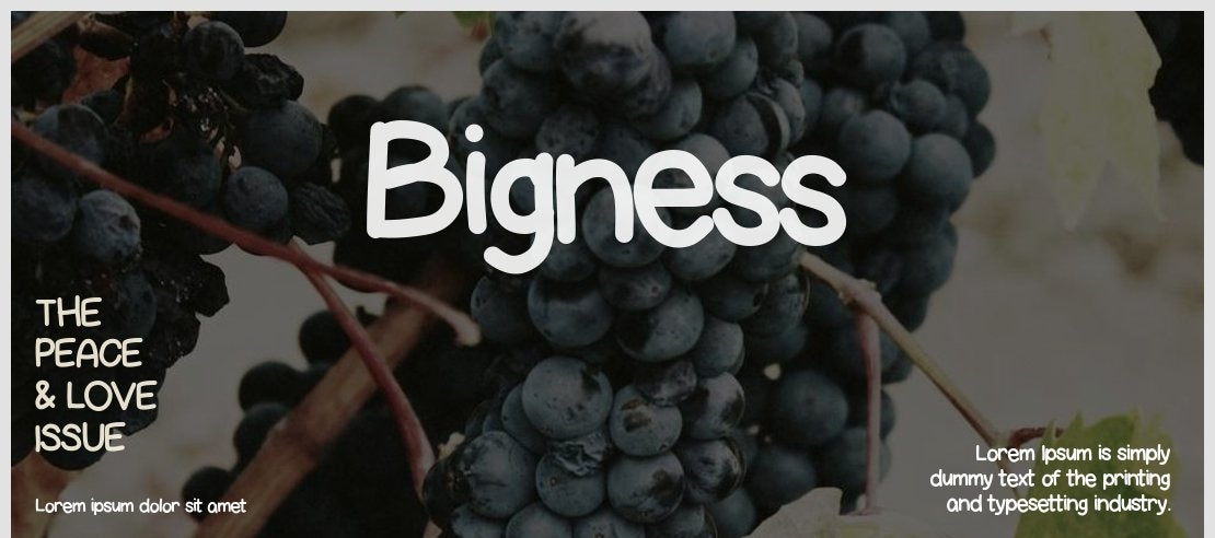 Bigness Font