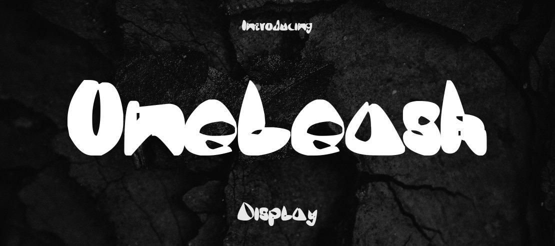 OneLeash Font