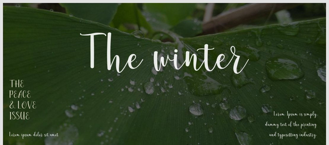 The winter Font