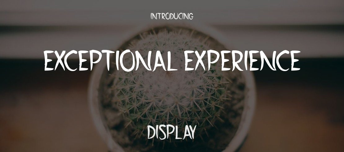 Exceptional Experience Font