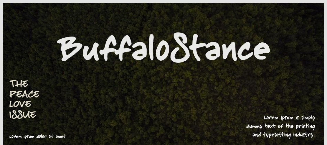 BuffaloStance Font