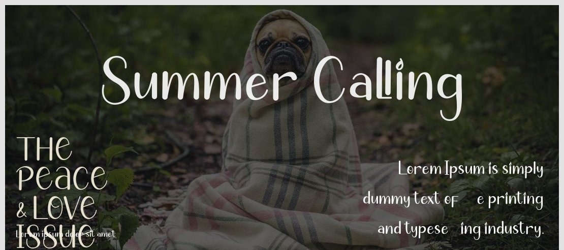 Summer Calling Font